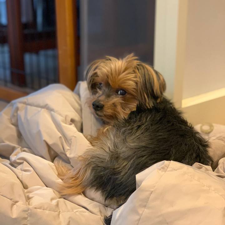 C1b35b4e 56f7 4351 9f2c 5fe7cd985784 1610925432765