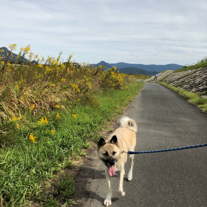 C1b38418 6106 4060 92fb 43e3d5956007 1571557728363