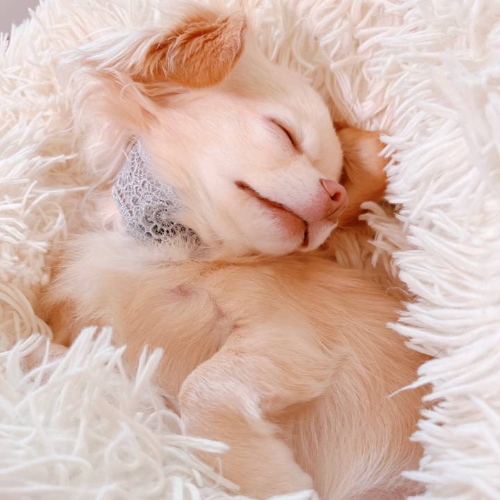 C1b3c179 3c57 4612 92de ce27a1fd9bfb 1657785842586