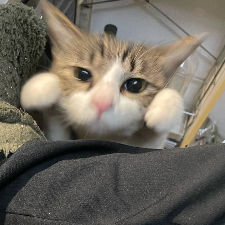 C1b3cd8c 2ed5 4bc3 a3f8 44c3b1ebead3 1772405274989