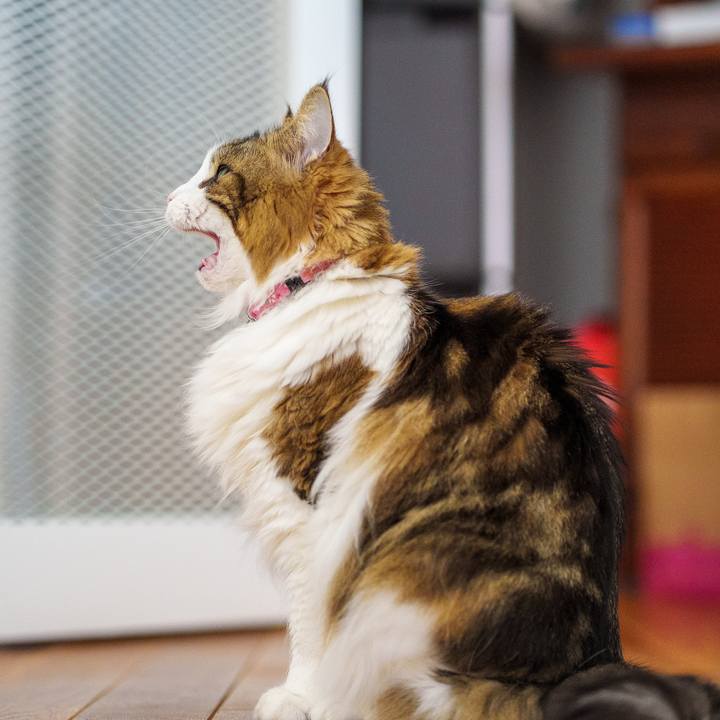 C1b3e21c 717e 41f2 aa78 30d15968f85c 1742967209273