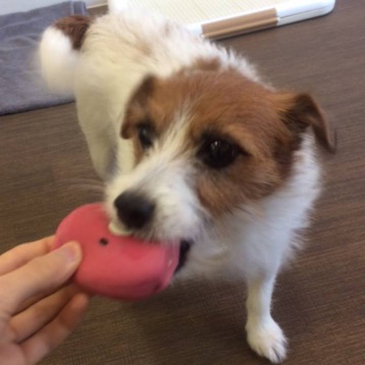 C1b40722 4df4 4c2b a851 7a4ca47412ed 1542349003366