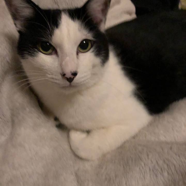 C1b43699 2fdc 403a a5c3 45fb04b93a13 1547480021940