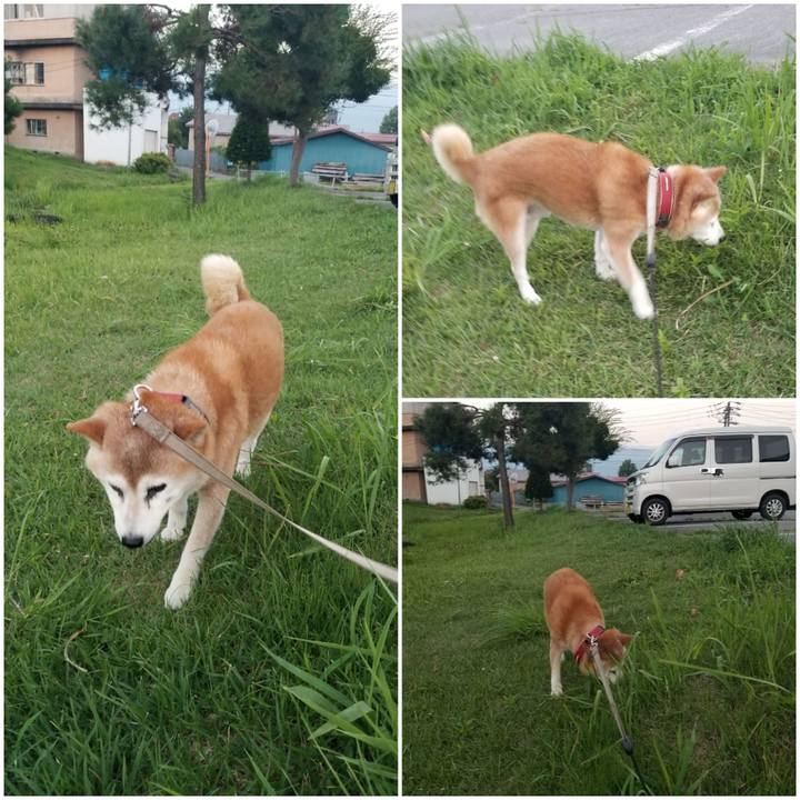 C1b439c3 ee15 45c1 98e8 54fa46a61fdc 1755597570757