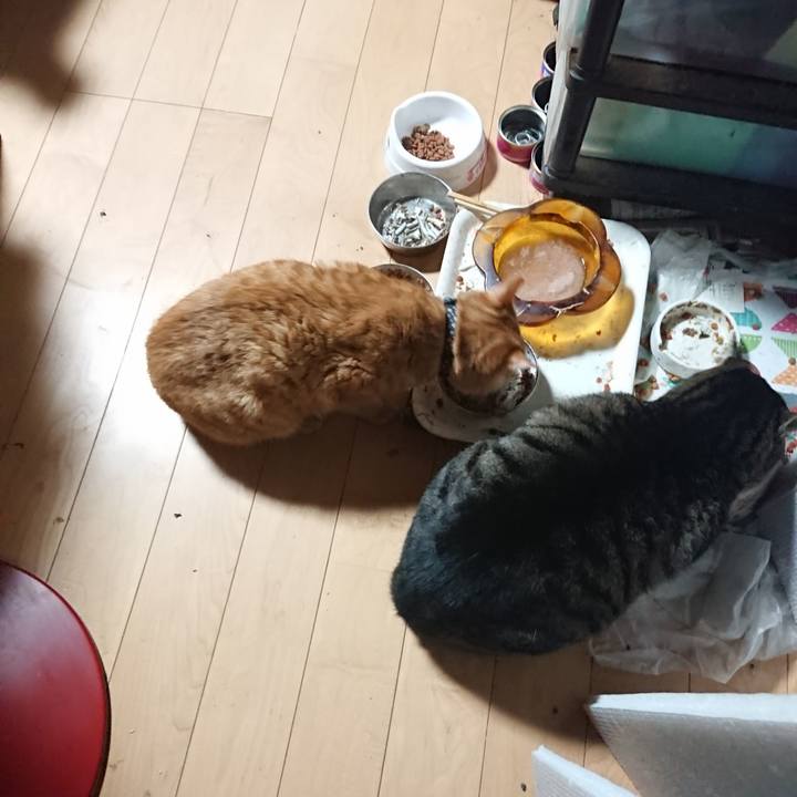 C1b4431a 24f6 44d6 ae74 57e56f3e4960 1640296258319