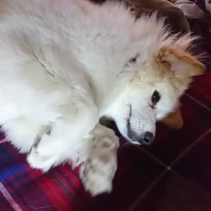 C1b44c69 f243 4c49 97ab 1919224f7fd9 1529699157878