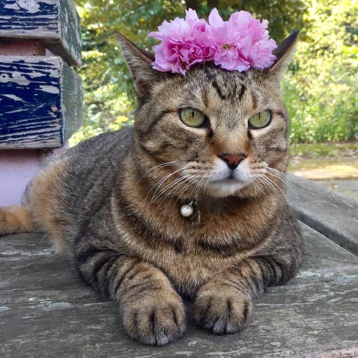 C1b459cb 56b1 4069 b9d8 f0a9bb6f1e3d 1555660225568