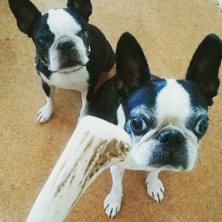 C1b46c67 cf7f 436b b060 5ad79db05158 1538315999782