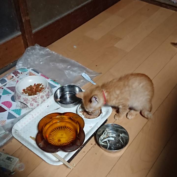 C1b49b85 fb14 4296 bf91 cb98d5ce0bf1 1631046400566