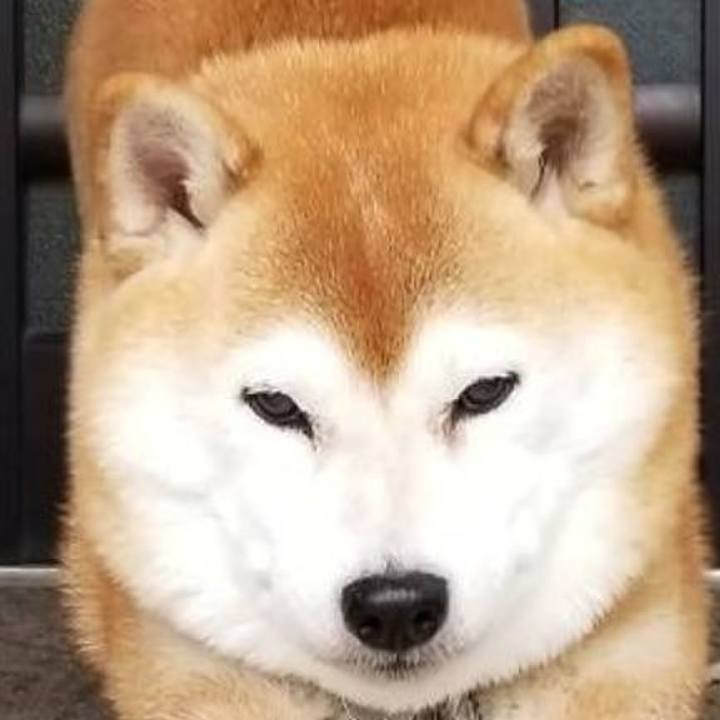 C1b4f454 5cf6 4bb8 b745 1a8d92d42fc7 1603359402677