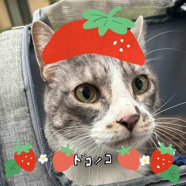 C1b4f4e3 e278 4727 91da 7ccdd3c84c27 1775866440785