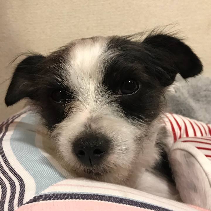 C1b568ec 9d0b 44b1 9845 736e702e93d7 1522662649488