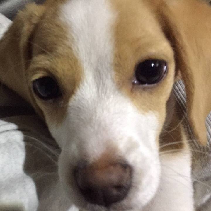 C1b56f82 506c 4612 aa13 e289ecbb5a82 1559775200391