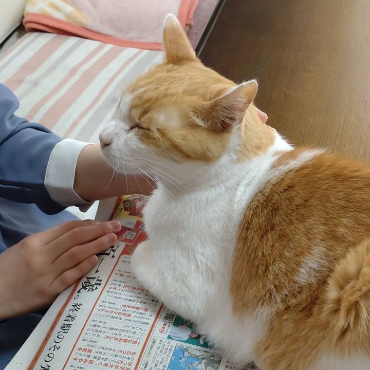 C1b584a2 0bec 4326 a3a9 0e99296b8411 1776645967117