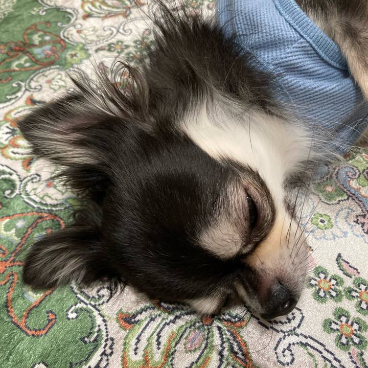 C1b598e0 9509 4d85 bd4c 503f98803284 1667483130761