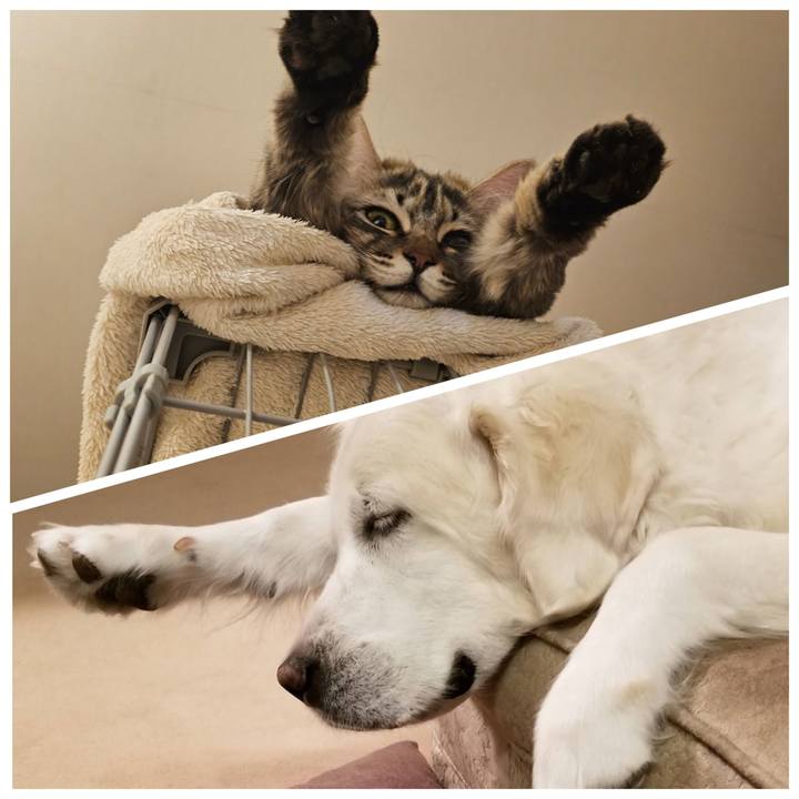 C1b60a82 eee0 4a27 9853 7677f3d7564c 1773833984946