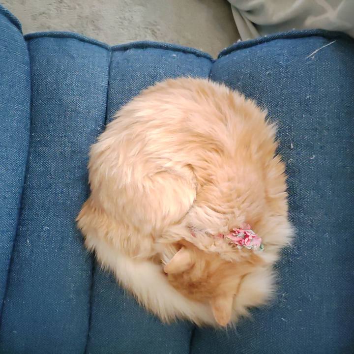 C1b60de8 84be 4792 8db0 71e8690fc63d 1673167394821