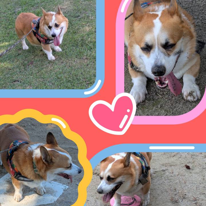 C1b61d63 b3af 4c9a b881 303f545895ce 1760277432350