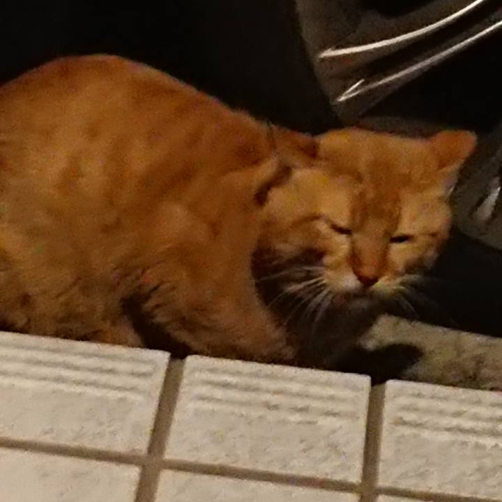 C1b6466f 95a1 4903 b222 b5054d0e9727 1520142865491