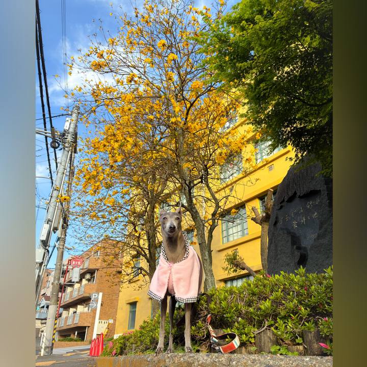 C1b67cf2 fe70 43c6 be35 386105d98854 1777100938938