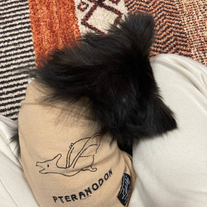 C1b683d9 d935 4b31 80b0 61ba5e71aa45 1679411410423