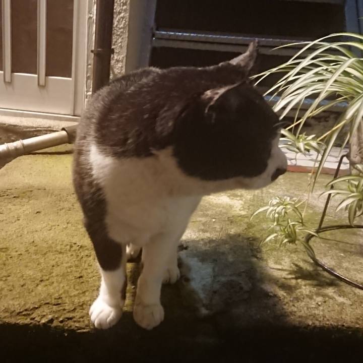 C1b694ec 1e27 4502 bc1f 2a756caf097f 1674207437302