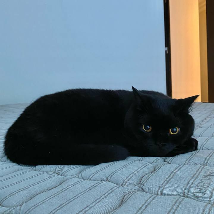 C1b6c367 c6d4 488a 84c9 20e99a9b9d8a 1625131688569