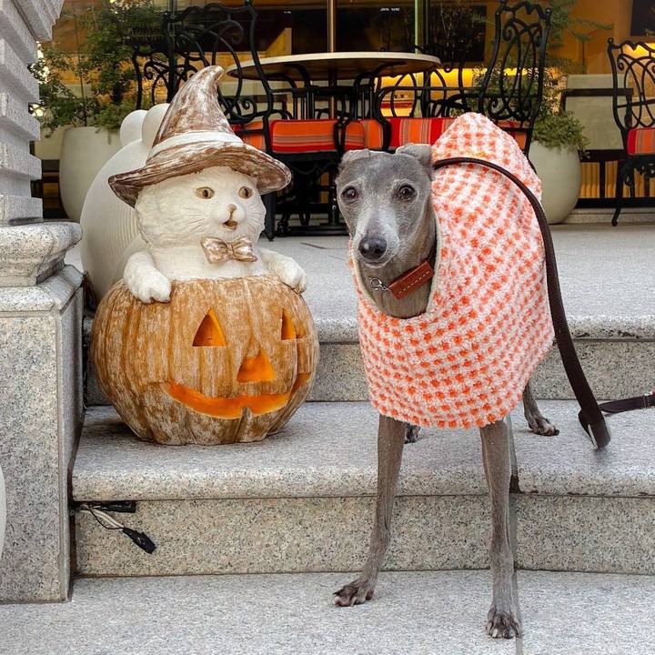 C1b6d27d 422a 4d80 8bfc 2d55d1903bfb 1761819678965