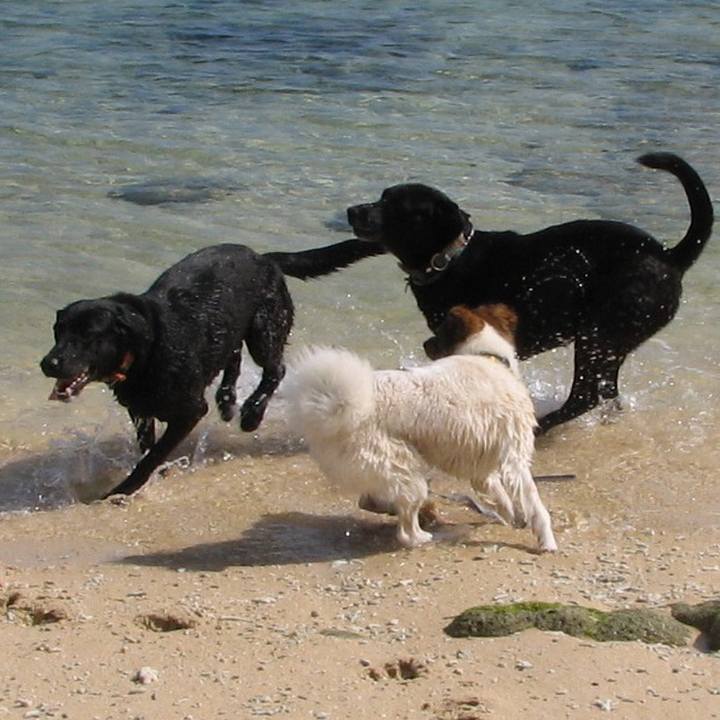 C1b6d773 c5ef 4ac1 970a ac7a0999333f 1616828255612