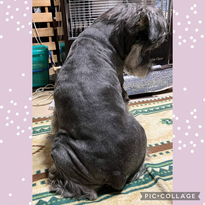 C1b6def8 1f5f 49c0 9f8f 8e7b37d4bf08 1745670181460