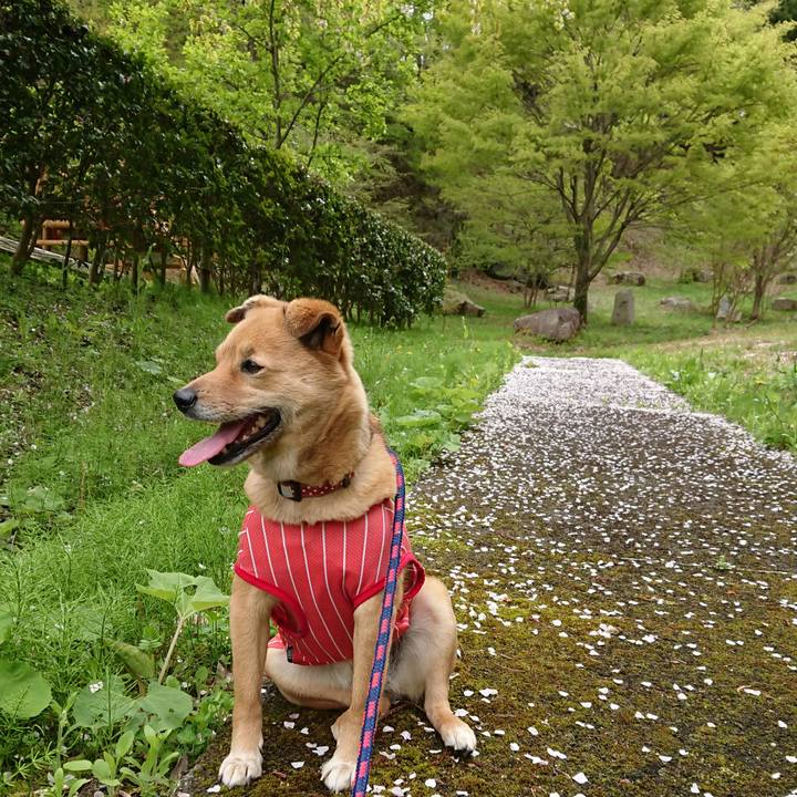 C1b734fd c75d 4790 9abe 3cc128108914 1556876172147