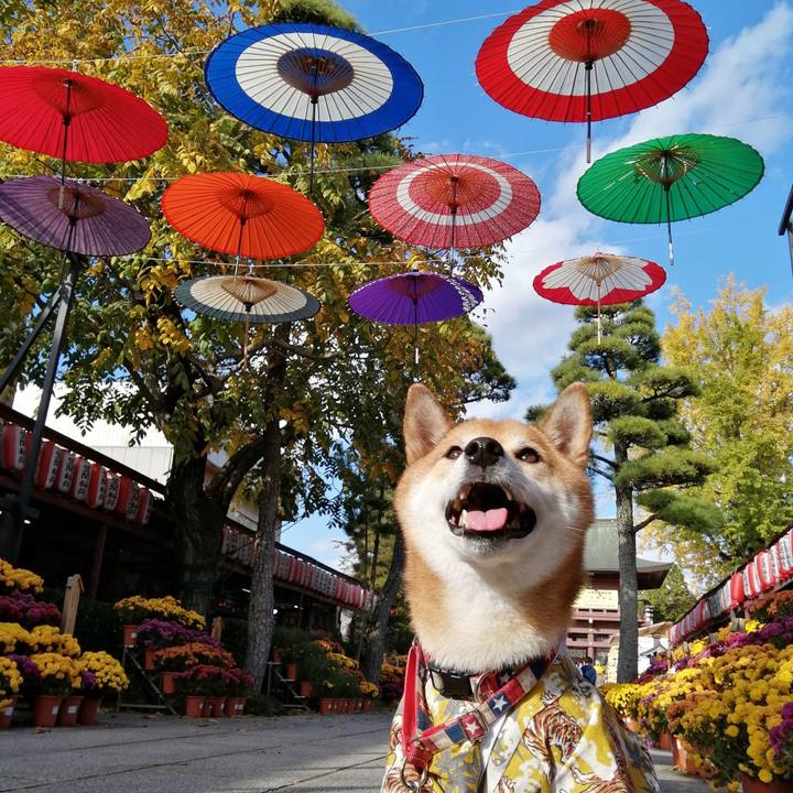 C1b7a34c 2d6e 44fd 9873 837130cfd2ec 1667963586198