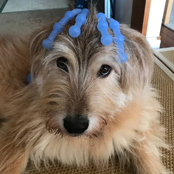 C1b7d8ec f775 4da4 b731 60feb0bd0b5f 1573871932157