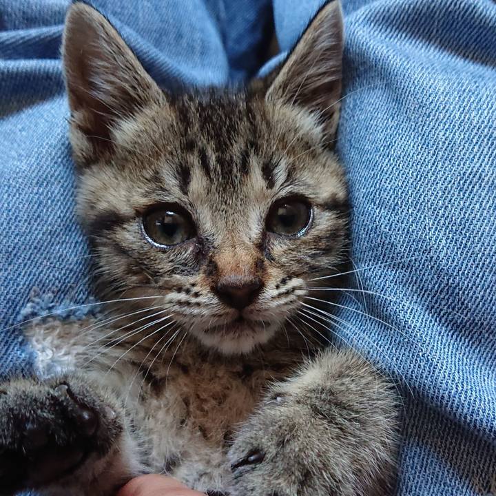 C1b80cf0 2455 48b0 bd46 358f8bc2191c 1558402058860