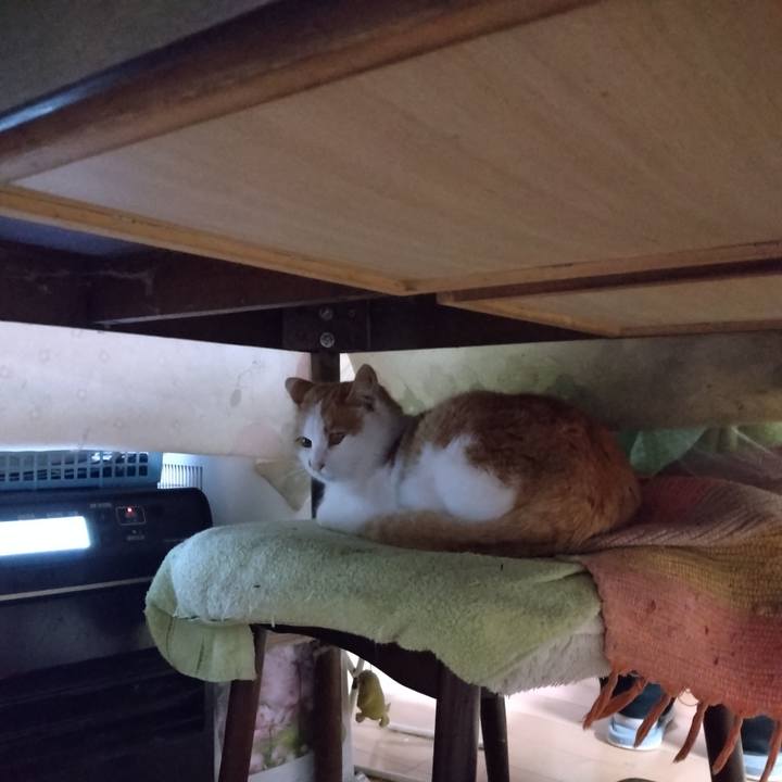 C1b81f91 8aad 4f57 9aee 3b8b3cb90272 1766742589841