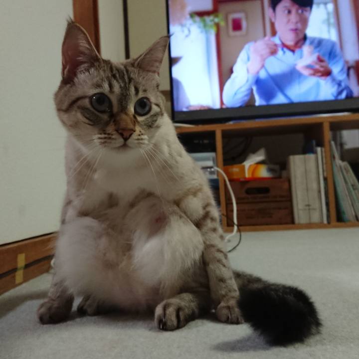 C1b8296e 29c0 48d0 bb6f 527d091a2128 1570452853851