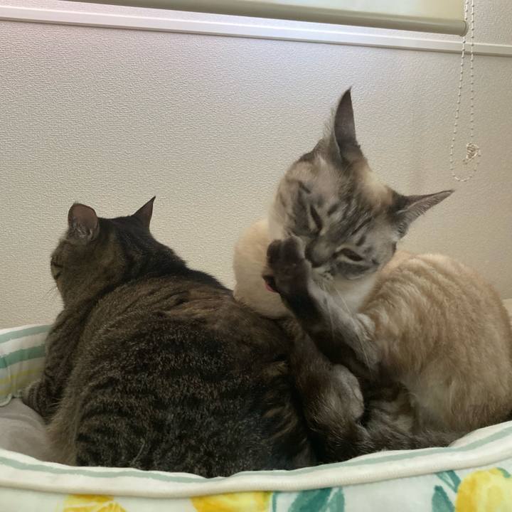 C1b82d19 3736 466f adee d8db79eb162a 1683077164662