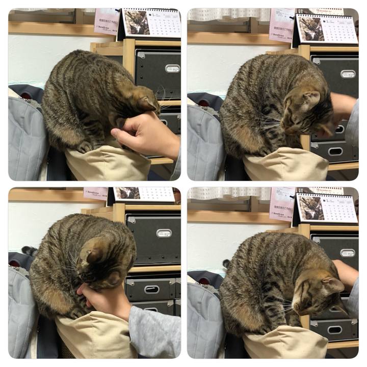 C1b84aa3 936f 462d a8da a16742cdd1b3 1515994736158