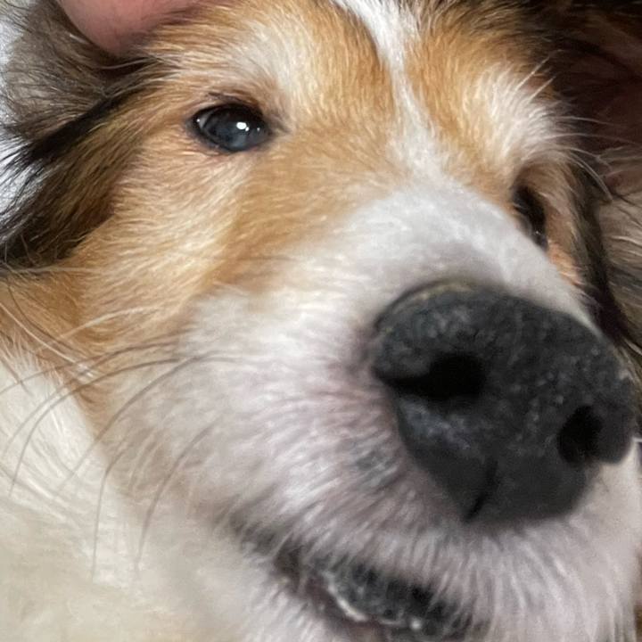 C1b8b7b9 876b 481d 9187 4e4987cd23c4 1645352139718