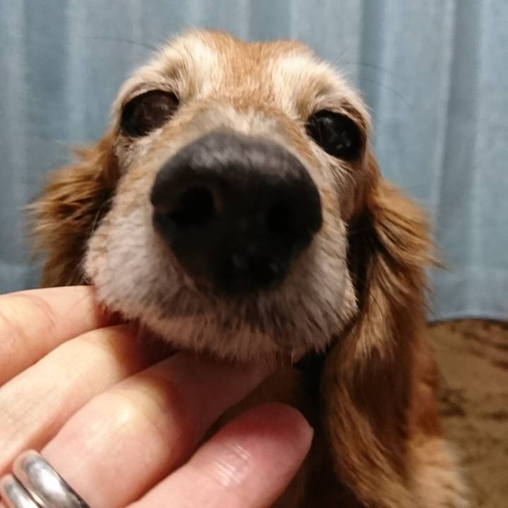 C1b8f641 e195 4773 9970 1b5eb7dfed03 1518142877143