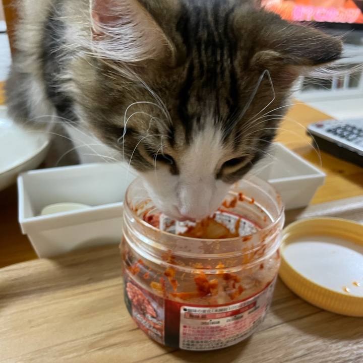 C1b90425 b3a5 40b8 a416 a4eaaa066d54 1635156936569