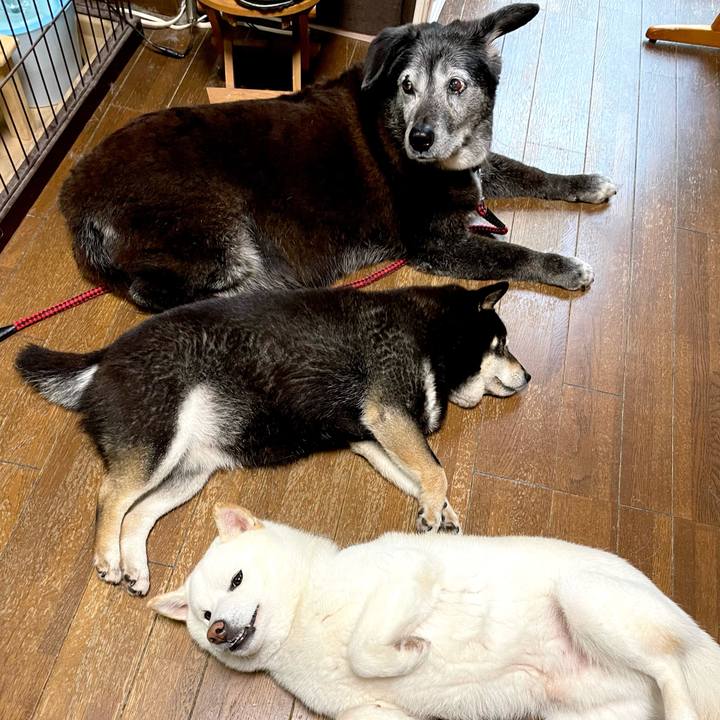 C1b906a7 213e 4dd3 ac55 0718c489a2a0 1653118311777