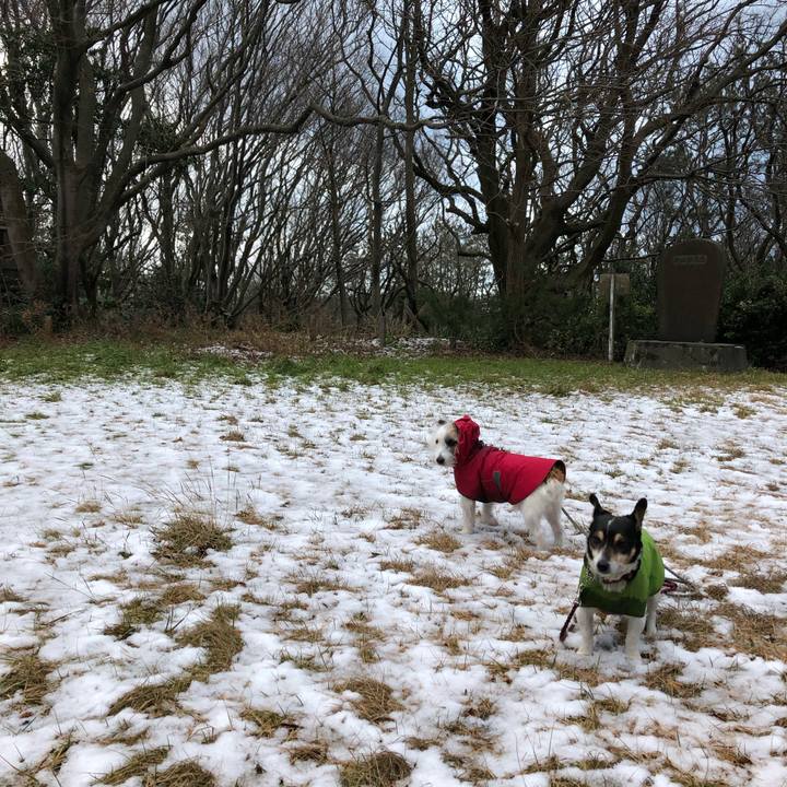 C1b95fe4 888c 4254 89b2 8b0e63500240 1548113288922