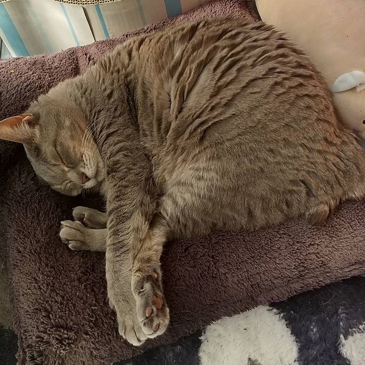 C1b978f8 50e5 47d7 ae65 ed705e9f2a71 1617411156156