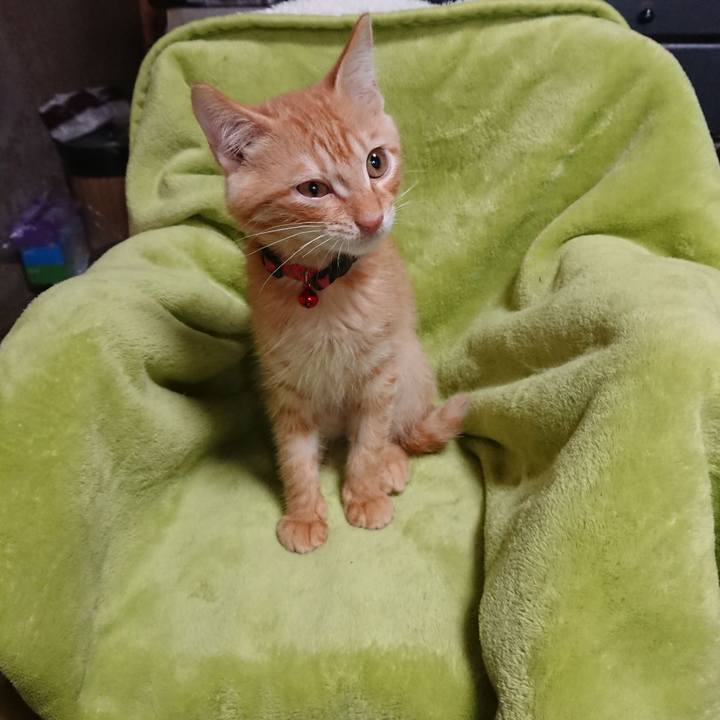 C1b97a34 21cd 4927 ab81 79a1ff973cfd 1631657377966