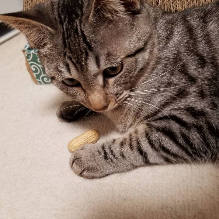 C1b982d5 65dd 481f 9958 cb5103296463 1675518498764