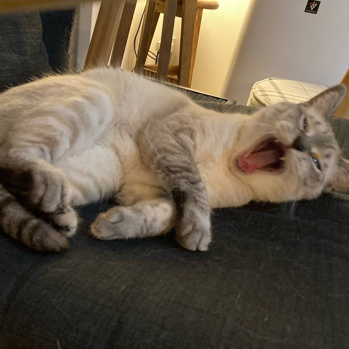 C1b984e4 2964 498c b057 0f5d2e987e2d 1629514036519