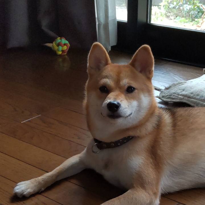 C1b98f18 7d1e 486b b388 4a115e70bd62 1632876490827