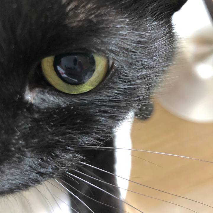 C1b991fe 3acc 464a bb60 79f139ffc306 1607177652293