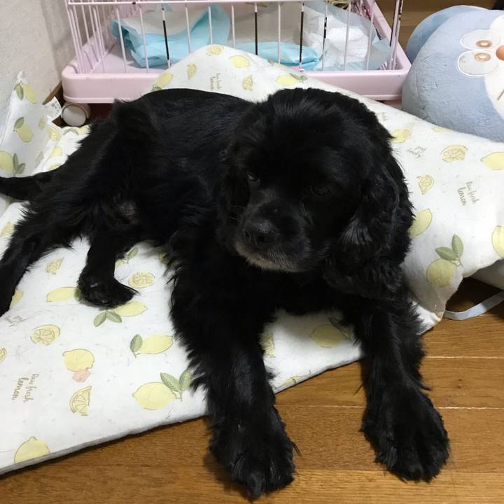 C1ba2e1c 19cc 4824 bd28 df3fe6dc3fba 1540470808567